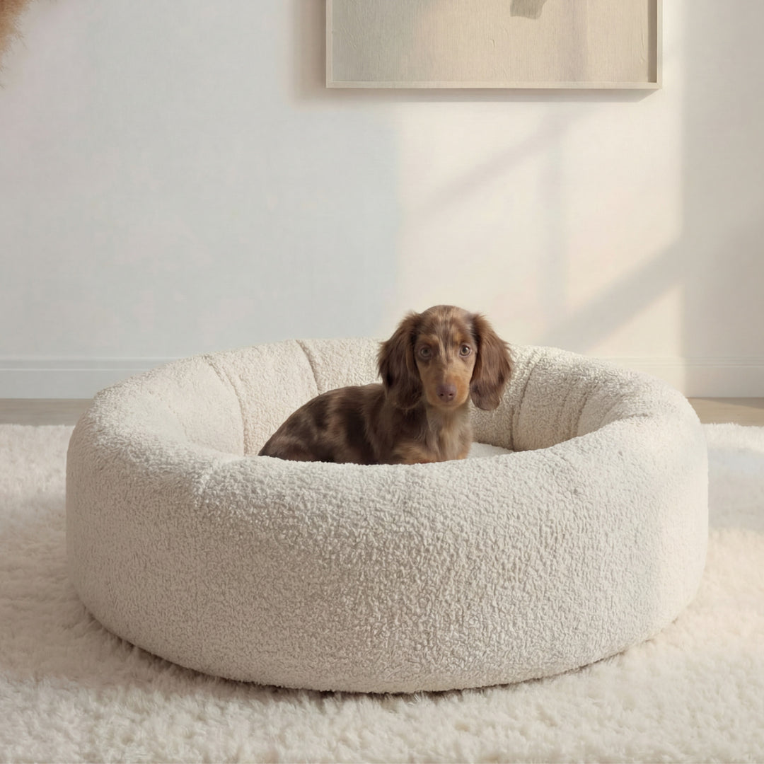 Assise moelleuse et confortable