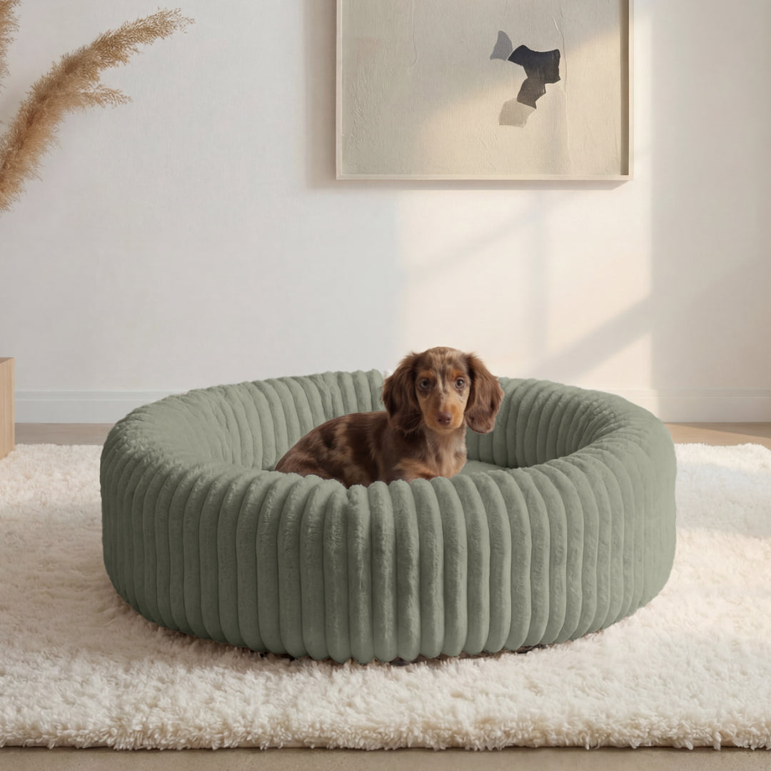 Forme enveloppante et sécurisante