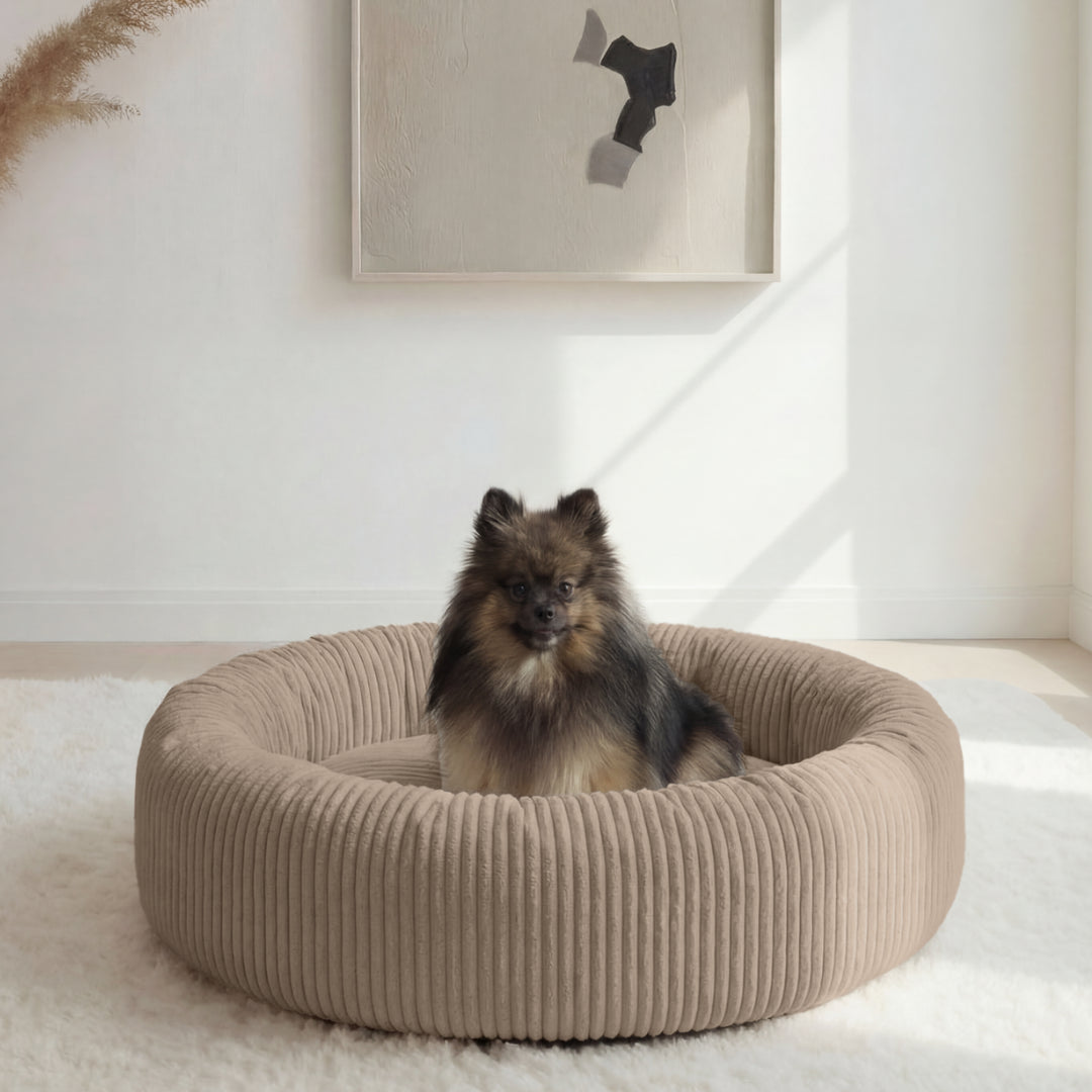 Forme cocon rassurante