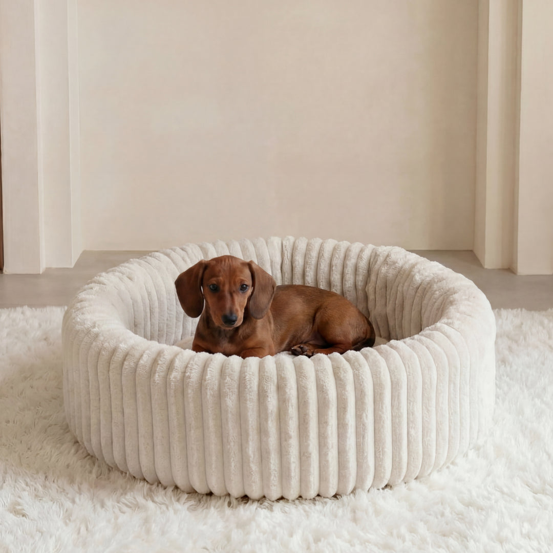 Confort moelleux