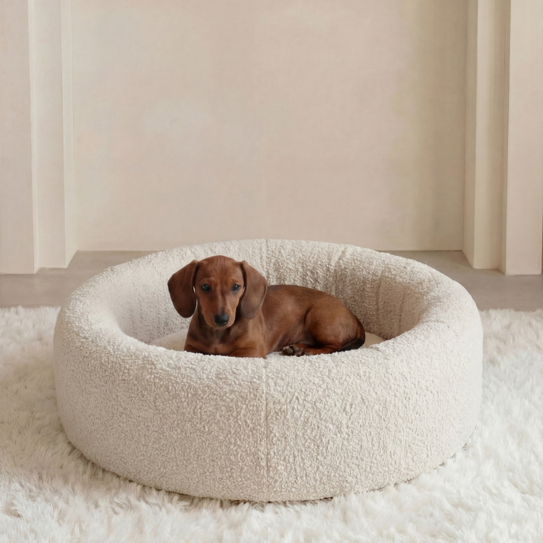 Assise moelleuse et confortable